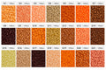 Poparooz G Series Mini Fuse Beads, Skin Tone Shades, 21 Colors, 2.6mm