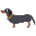 Dachshund Fuse Bead Kit