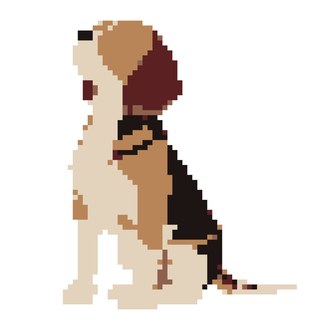 Beagle Fuse Bead Kit