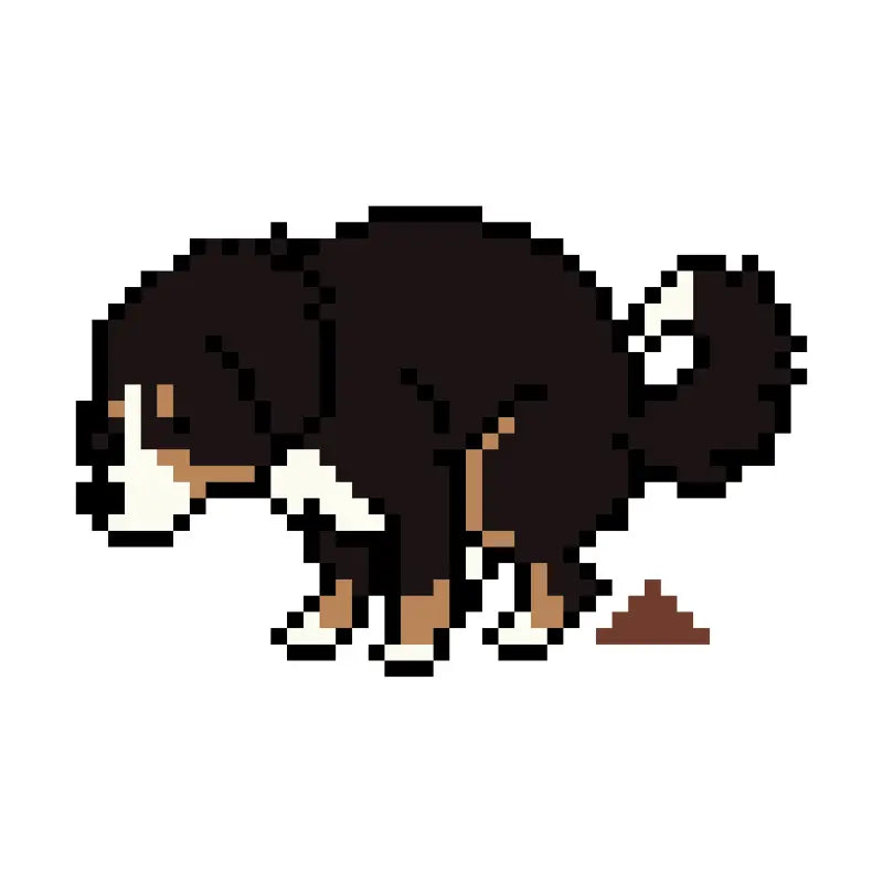 Bernese Mountain Dog Pixel Art