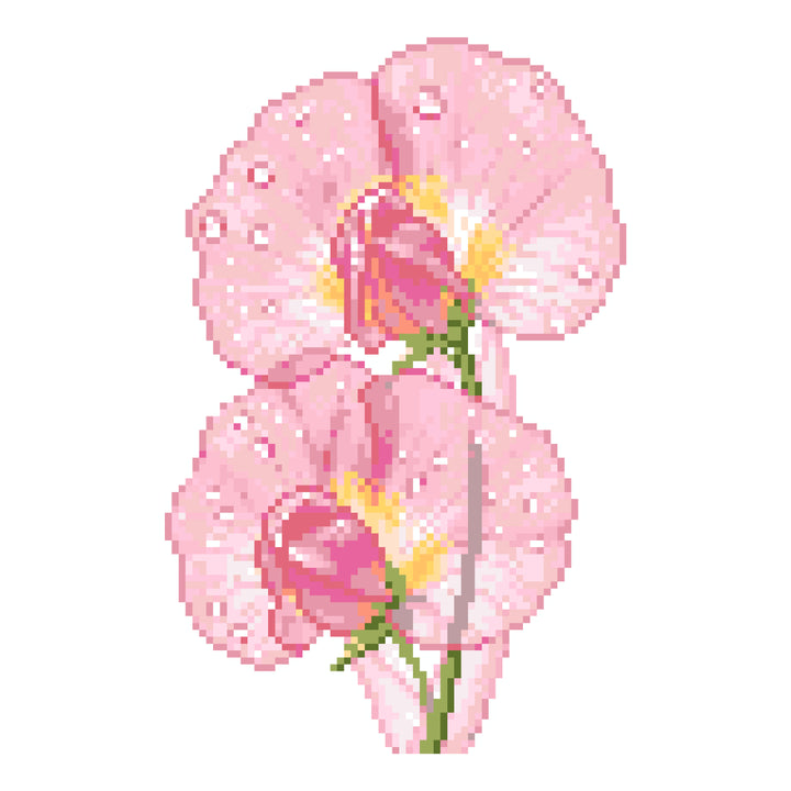 Dewy Pink Sweet Pea Fuse Bead Kit