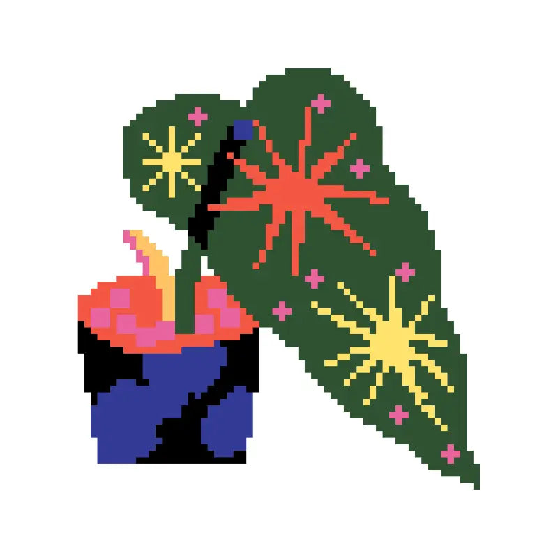 Star Leaf Houseplant