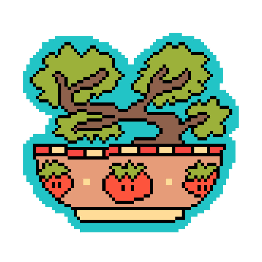 Bonsai & Strawberry Planter 